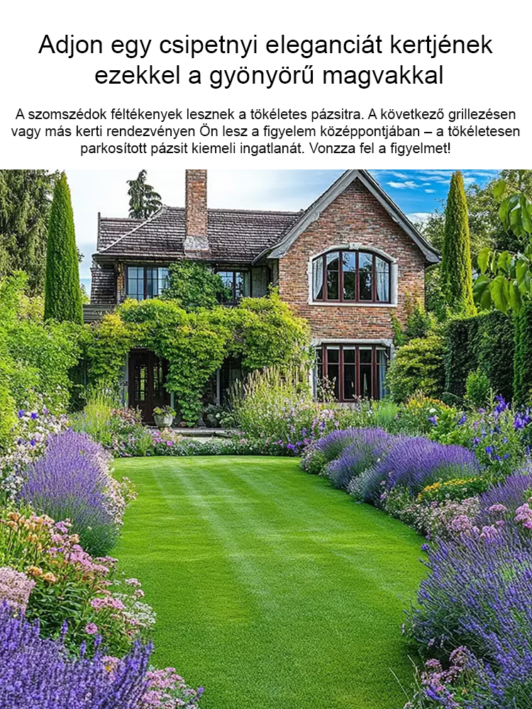 🏡Csírázás 7 nap alatt, tökéletes gyep 30 nap alatt! Könnyű ültetés, még a kezdők is sikeresek lehetnek