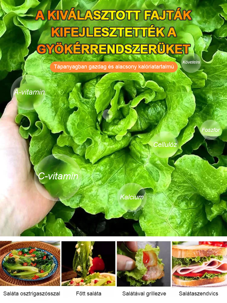 Négy évszak ültetése🌿Vegyél egyet, kapj még egyet ajándékba, 3000 maggal! 