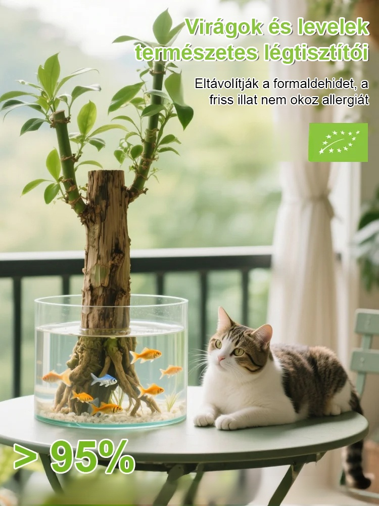 【🌿Ha víz éri, életre kel】🌿A vizet csak alkalmanként, naponta kell cserélni, ami könnyebb, mint a hagyományos termesztés.