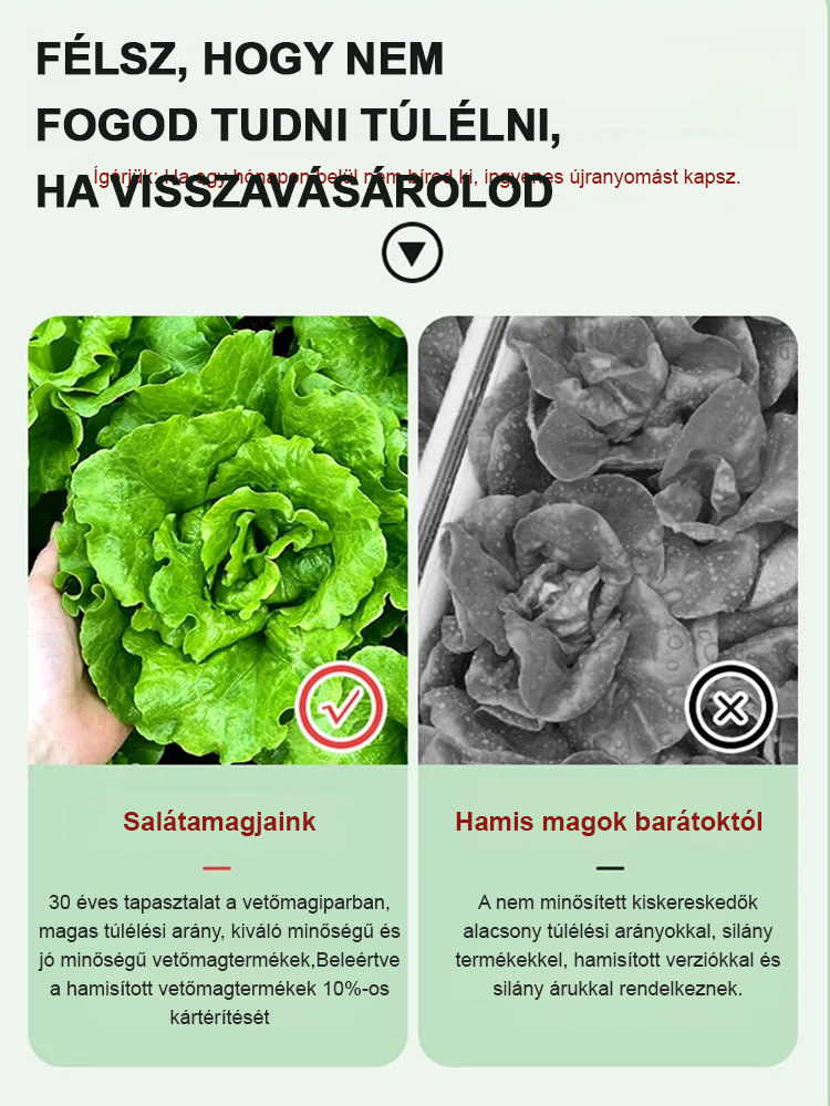 Négy évszak ültetése🌿Vegyél egyet, kapj még egyet ajándékba, 3000 maggal! 