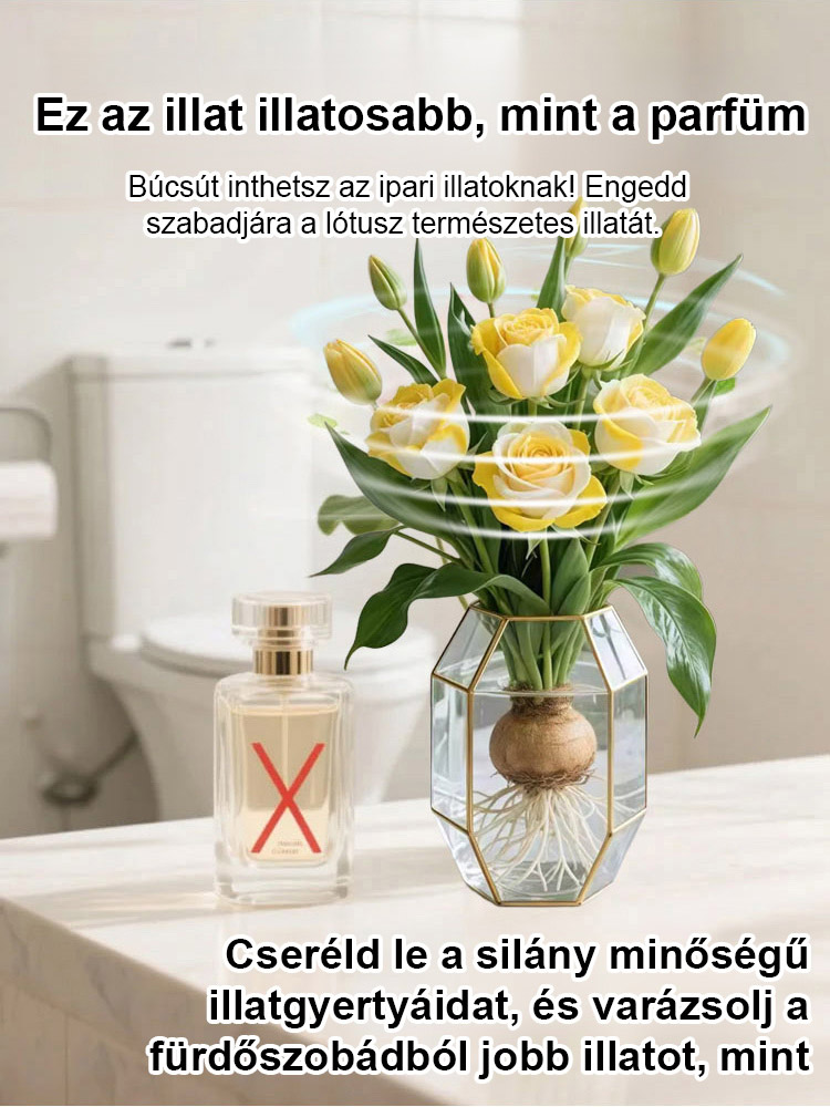 🌷🌷300 napos virágzású, aromás vízkultúrás rózsa hagyma