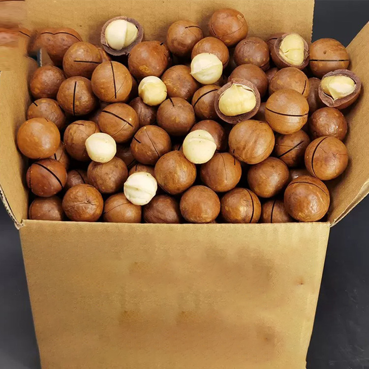 A makadámia dió🌰 Tápanyagokban gazdag, egészséges és ízletes.