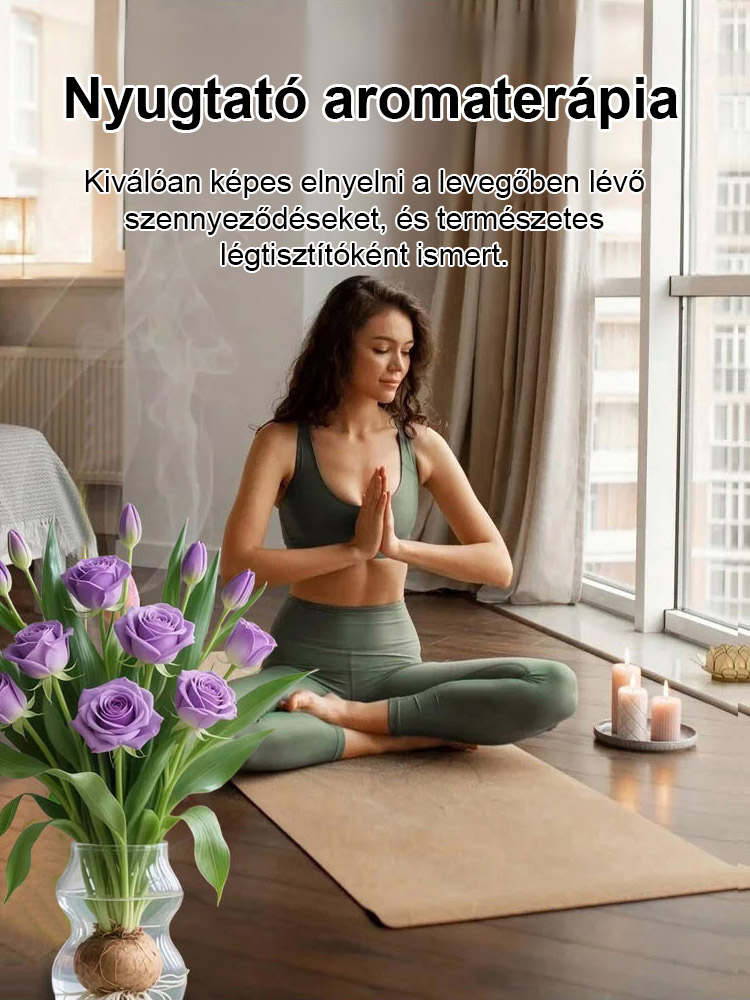 🌷🌷300 napos virágzású, aromás vízkultúrás rózsa hagyma