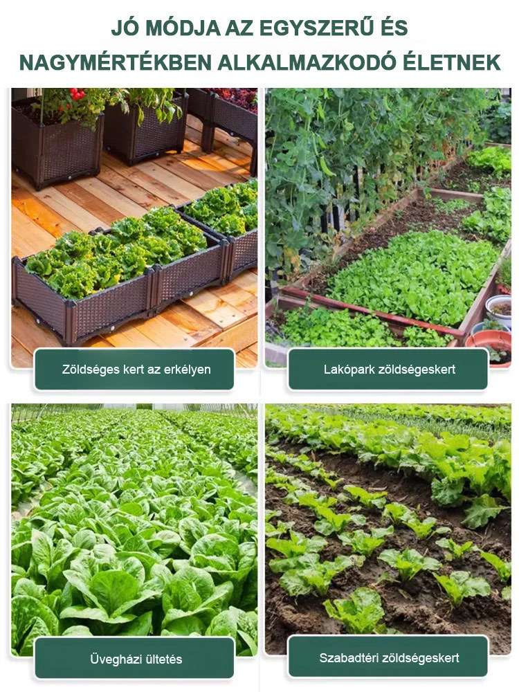 Négy évszak ültetése🌿Vegyél egyet, kapj még egyet ajándékba, 3000 maggal! 