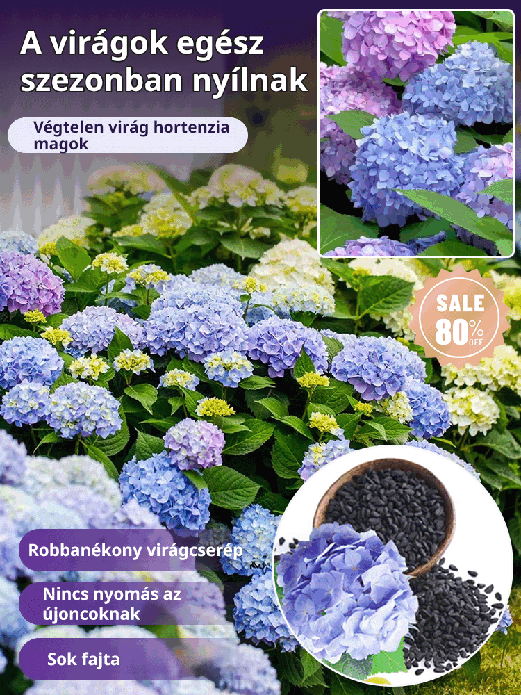 【Négy évszak vetése】Végtelen virághortenzia magok