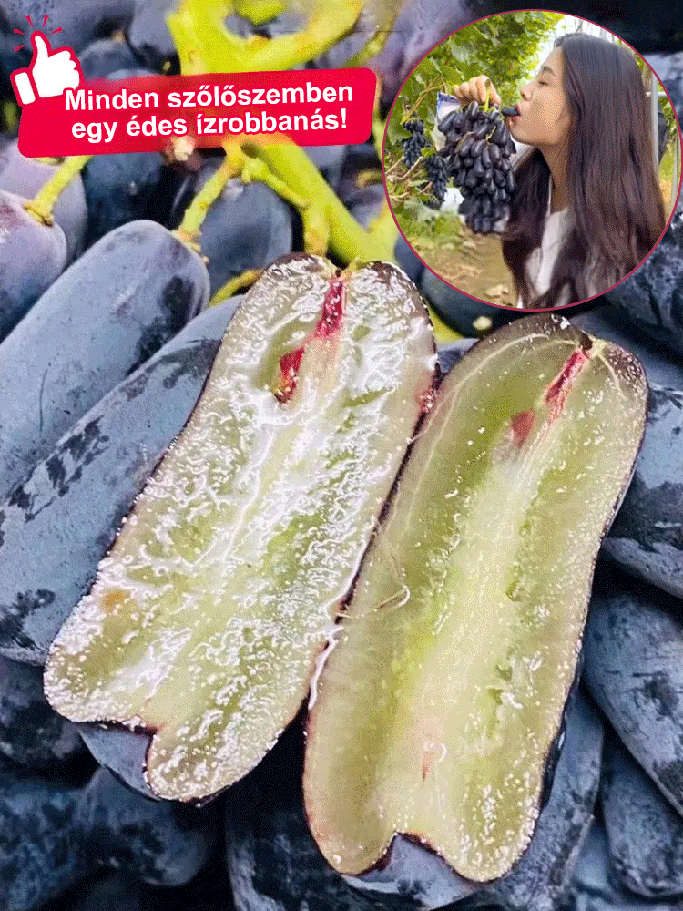 🍇Könnyen termeszthető, vékony héjú, lédús és édes