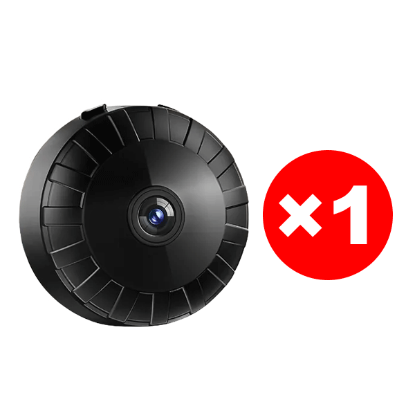 A14 Sonnenblumen-Kamera