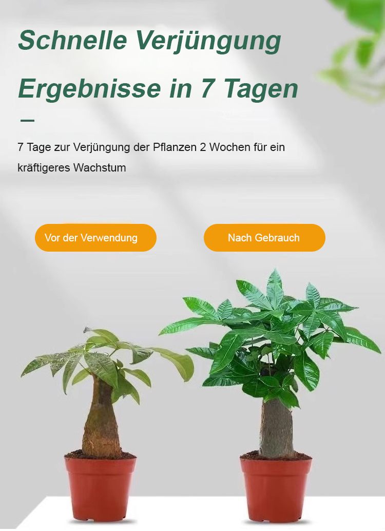 翻译件-JS-通用型植物花卉复活液-1153785_10.jpg