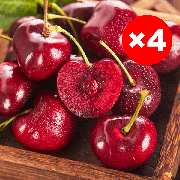 Chilenische Importkirschen – Eine neue Züchtung aus dem Weltraum.