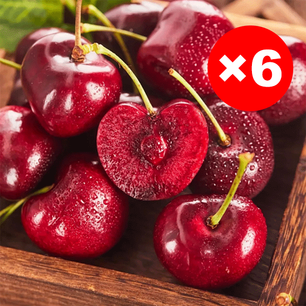 Chilenische Importkirschen – Eine neue Züchtung aus dem Weltraum.