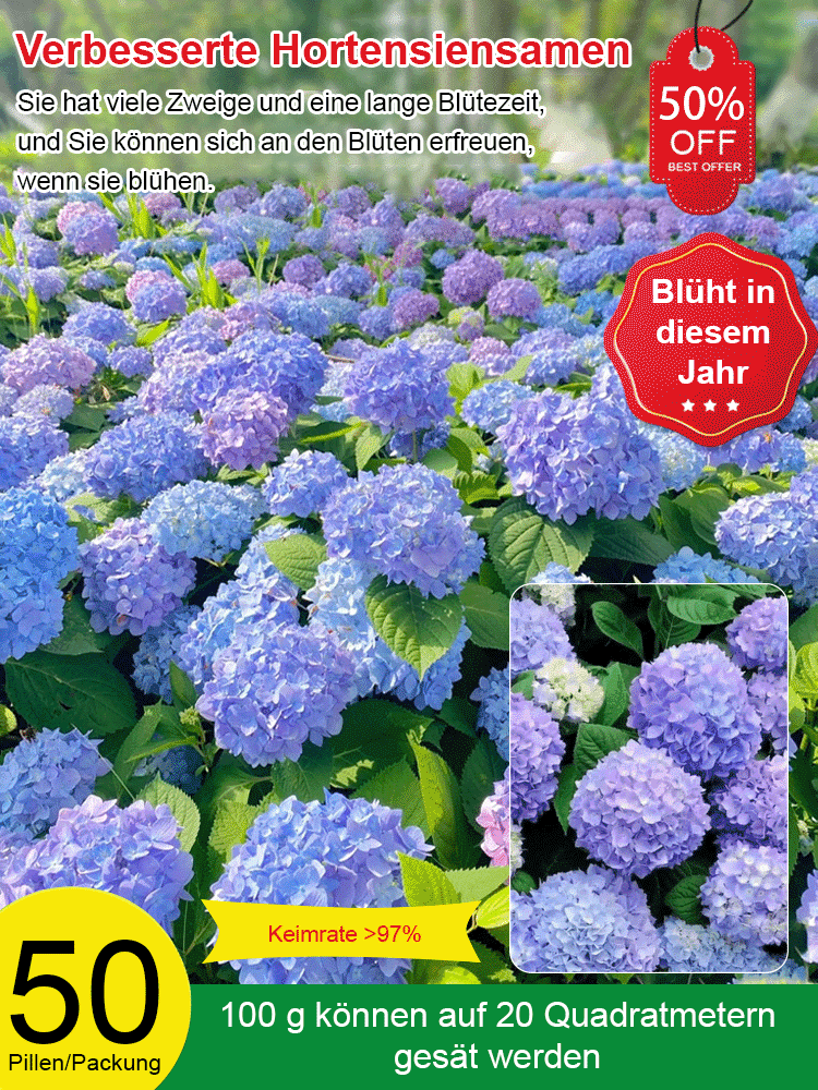 【Blumen blühen in vier Jahreszeiten】Hortensien-Samen