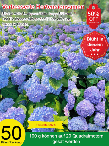 【Blumen blühen in vier Jahreszeiten】Hortensien-Samen