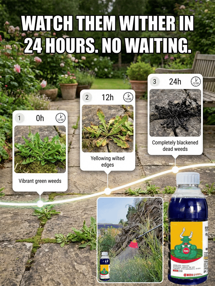 Fast-Acting Root Killer: Weatherproof Weed Control Perfect for British Gardens