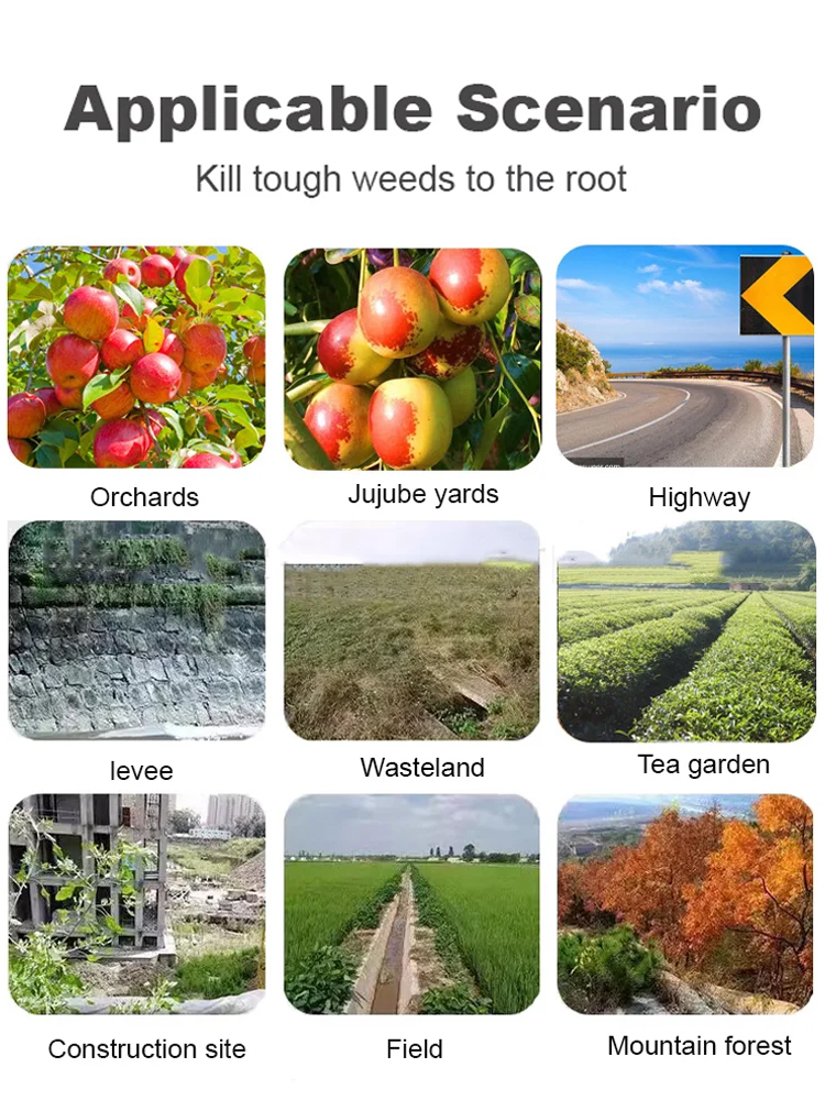 Fast-Acting Root Killer: Weatherproof Weed Control Perfect for British Gardens