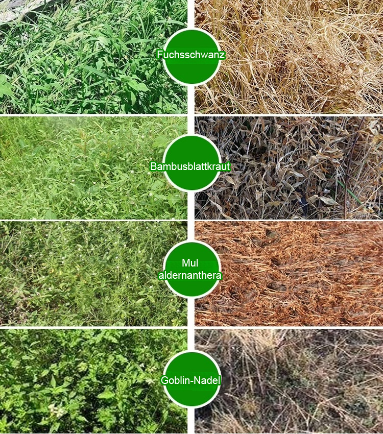 Die Nährstoffe der Erde