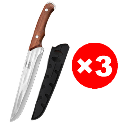 Hochwertige, handgeschmiedete Haushalts-Ausbeinmesser von Spitzenköchen.