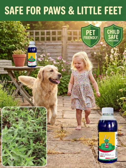 Fast-Acting Root Killer: Weatherproof Weed Control Perfect for British Gardens