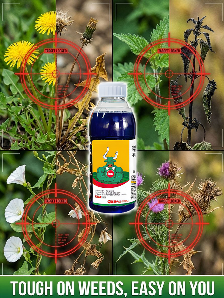 Fast-Acting Root Killer: Weatherproof Weed Control Perfect for British Gardens