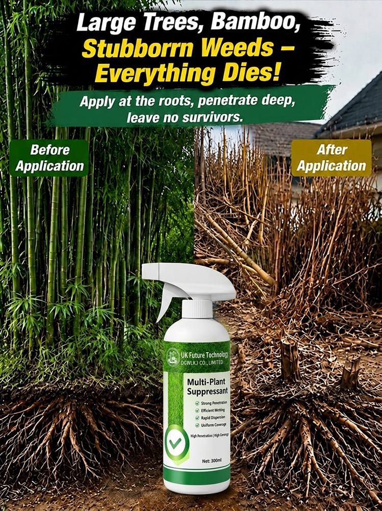 Weeds and bamboo are eliminated with a single spray