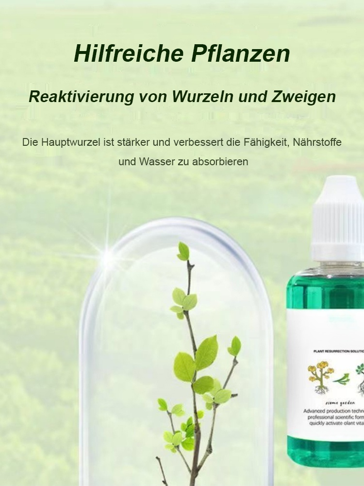翻译件-JS-通用型植物花卉复活液-1153785_26.jpg