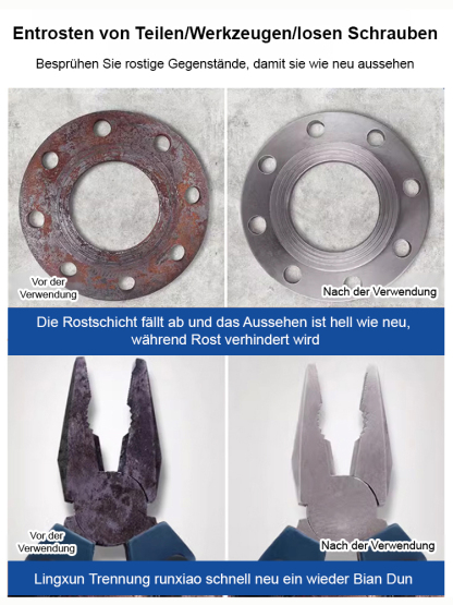 Rayhong Rostschutz-Reinigungs- und Pflege-Entroster.