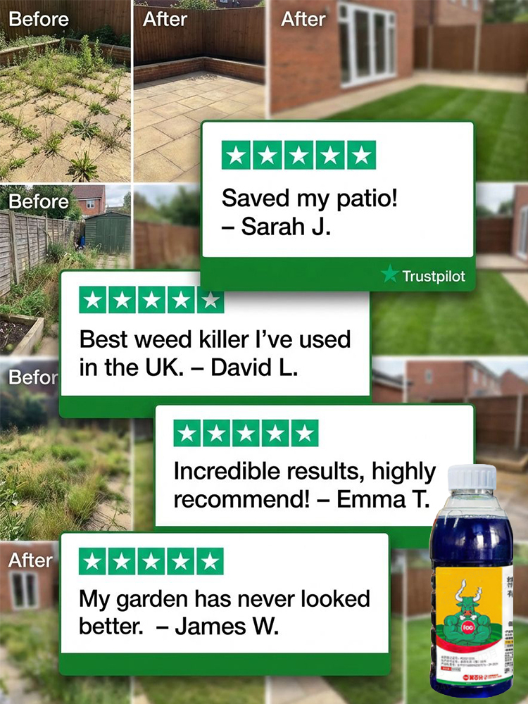 Fast-Acting Root Killer: Weatherproof Weed Control Perfect for British Gardens