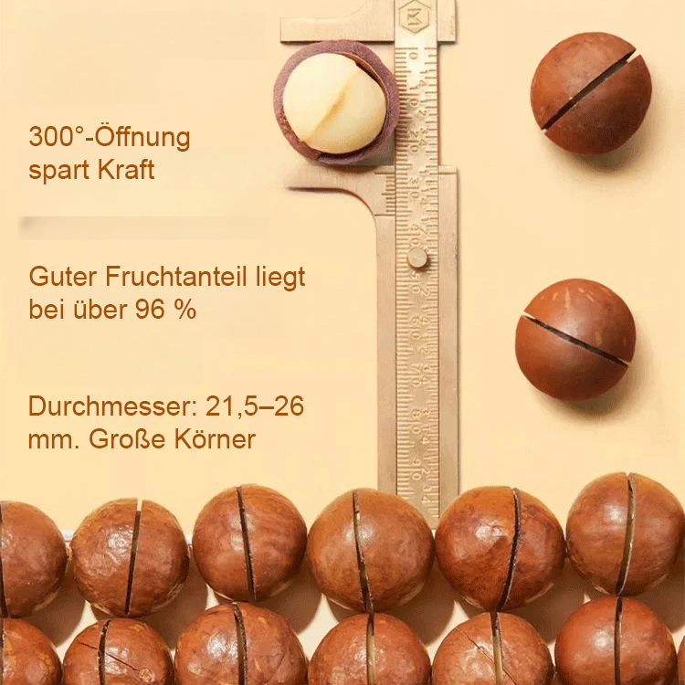 König der Tausend Früchte】Niedrigtemperatur geröstete Macadamianüsse