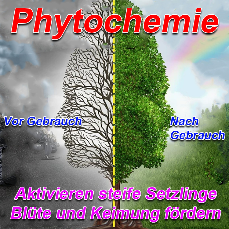 【🔥🔥🔥Hot Promotion】Pflanzen- und Blumenwiederbelebungsflüssigkeit