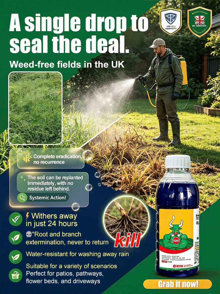 Fast-Acting Root Killer: Weatherproof Weed Control Perfect for British Gardens