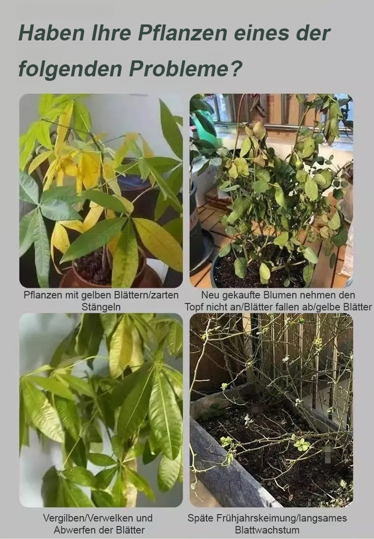 翻译件-JS-通用型植物花卉复活液-1153785_06.jpg
