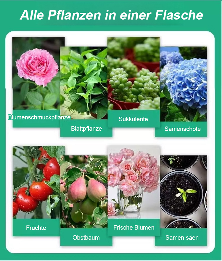 翻译件-JS-通用型植物花卉复活液-1153785_21.jpg