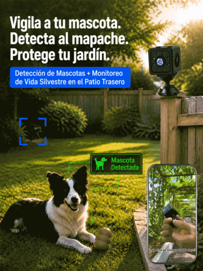 Cámaras inalámbricas para el hogar