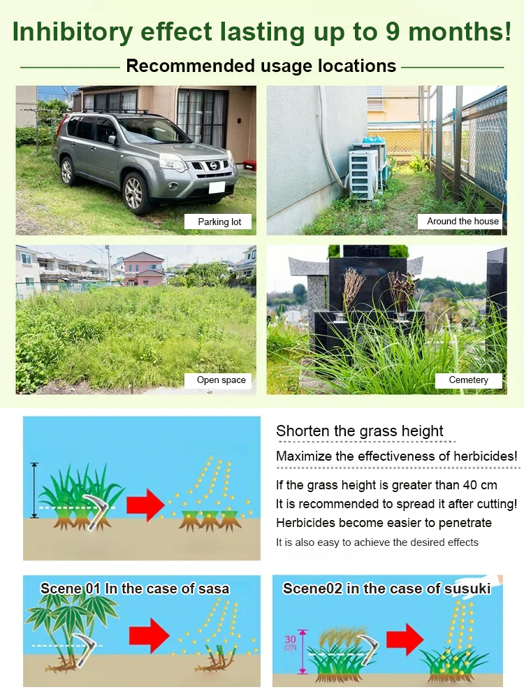 Fast-Acting Root Killer: Weatherproof Weed Control Perfect for British Gardens