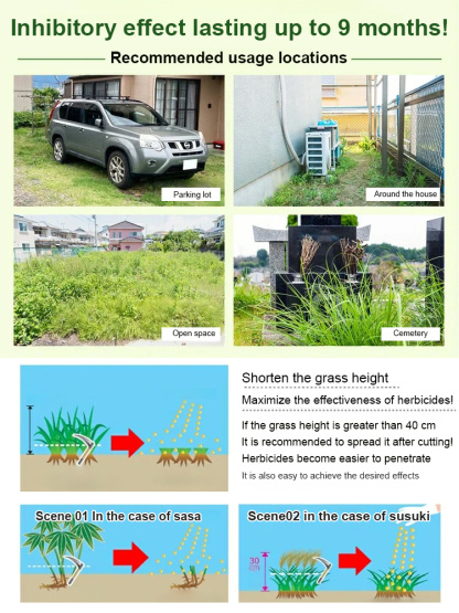 Fast-Acting Root Killer: Weatherproof Weed Control Perfect for British Gardens