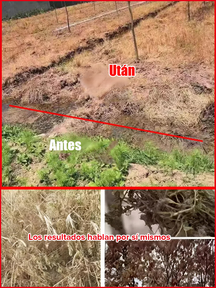 Solución Nutritiva para Suelo