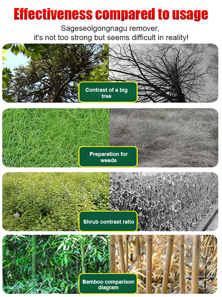 Fast-Acting Root Killer: Weatherproof Weed Control Perfect for British Gardens