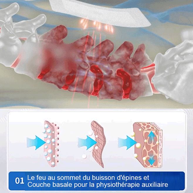 【Soulagement de la douleur en un seul patch】Patch de magnétothérapie polyvalent pour le cou, les épa