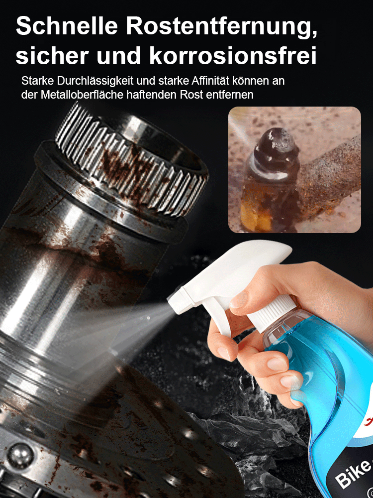 Rayhong Rostschutz-Reinigungs- und Pflege-Entroster.