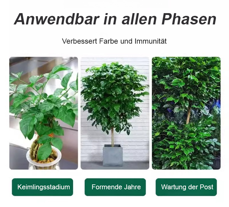 翻译件-JS-通用型植物花卉复活液-1153785_23.jpg