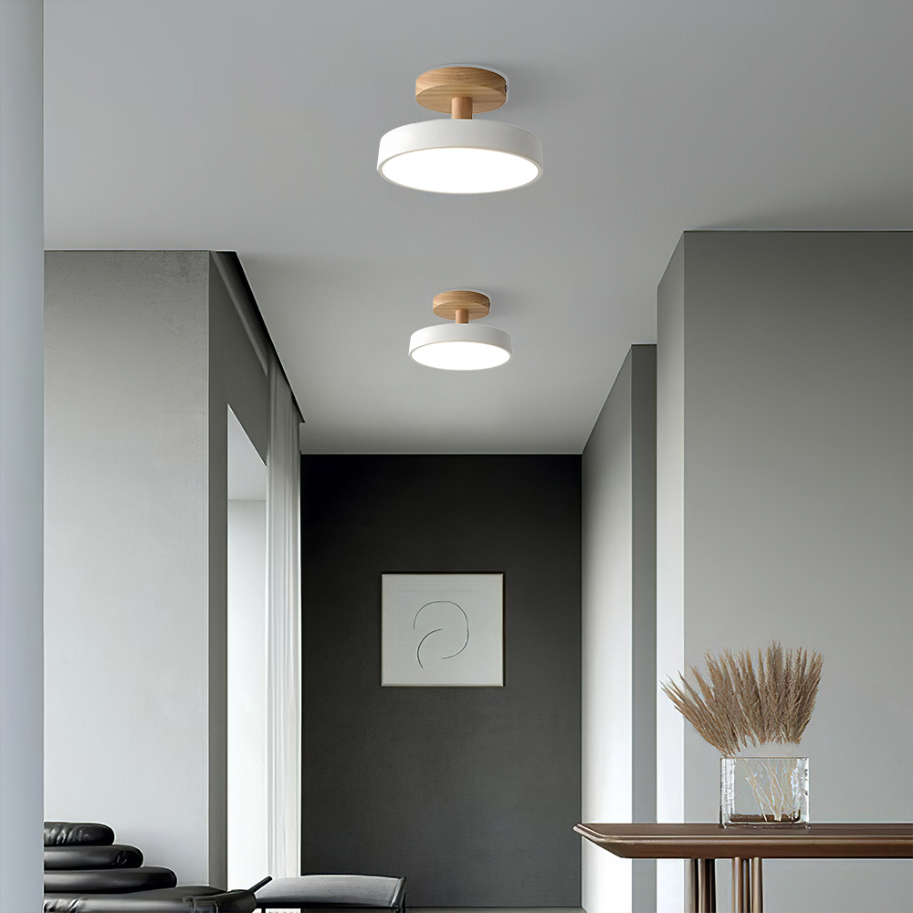 Art Decor Minimalist Iron Hallway LED Ceiling Lights