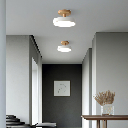 Art Decor Minimalist Iron Hallway LED Ceiling Lights