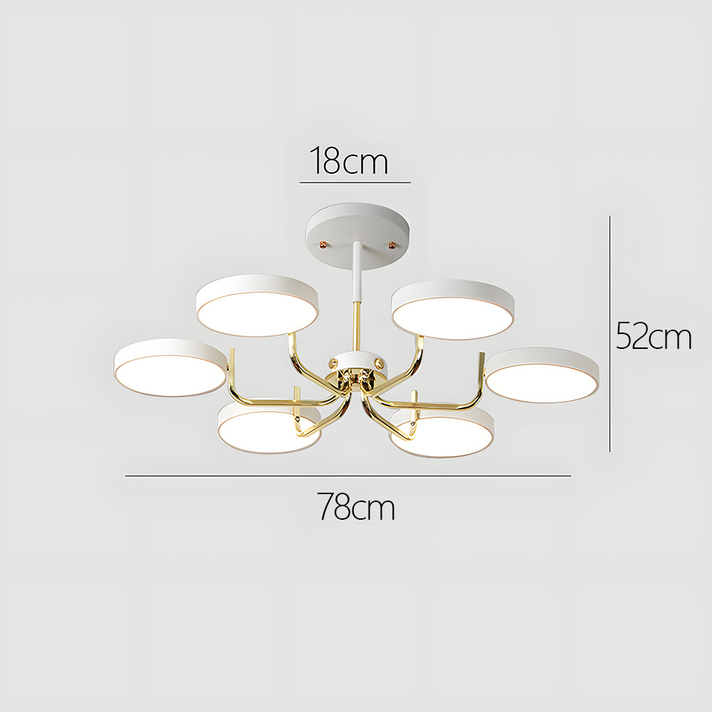 Modern Iron LED Ceiling Light For Living Room