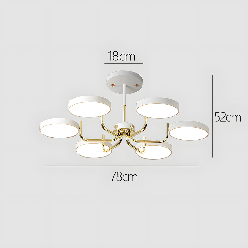 Modern Iron LED Ceiling Light For Living Room