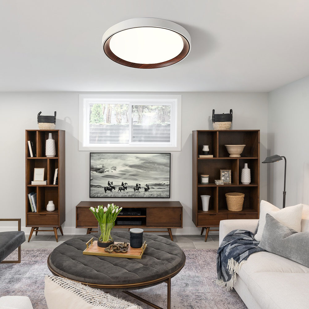 Modern Acrylic Round LED Ceiling Light For Living Room