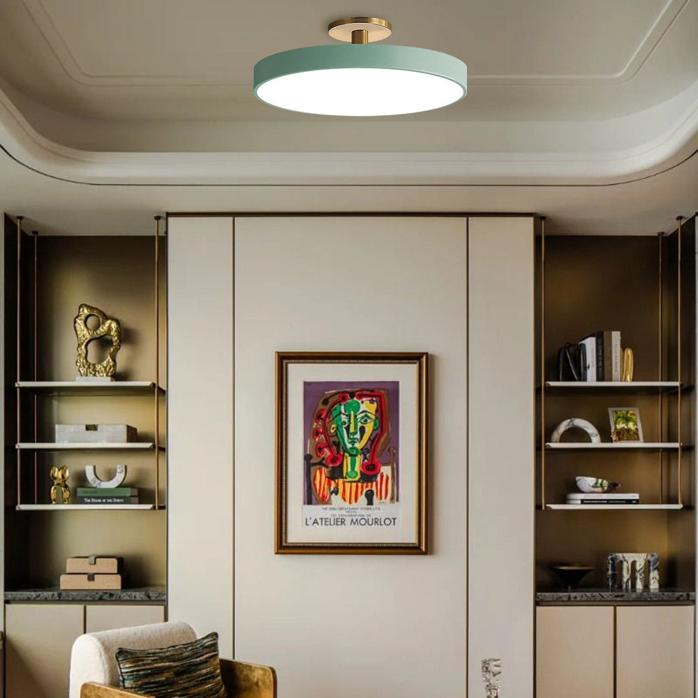 Modern Colored LED Round Ceiling Light