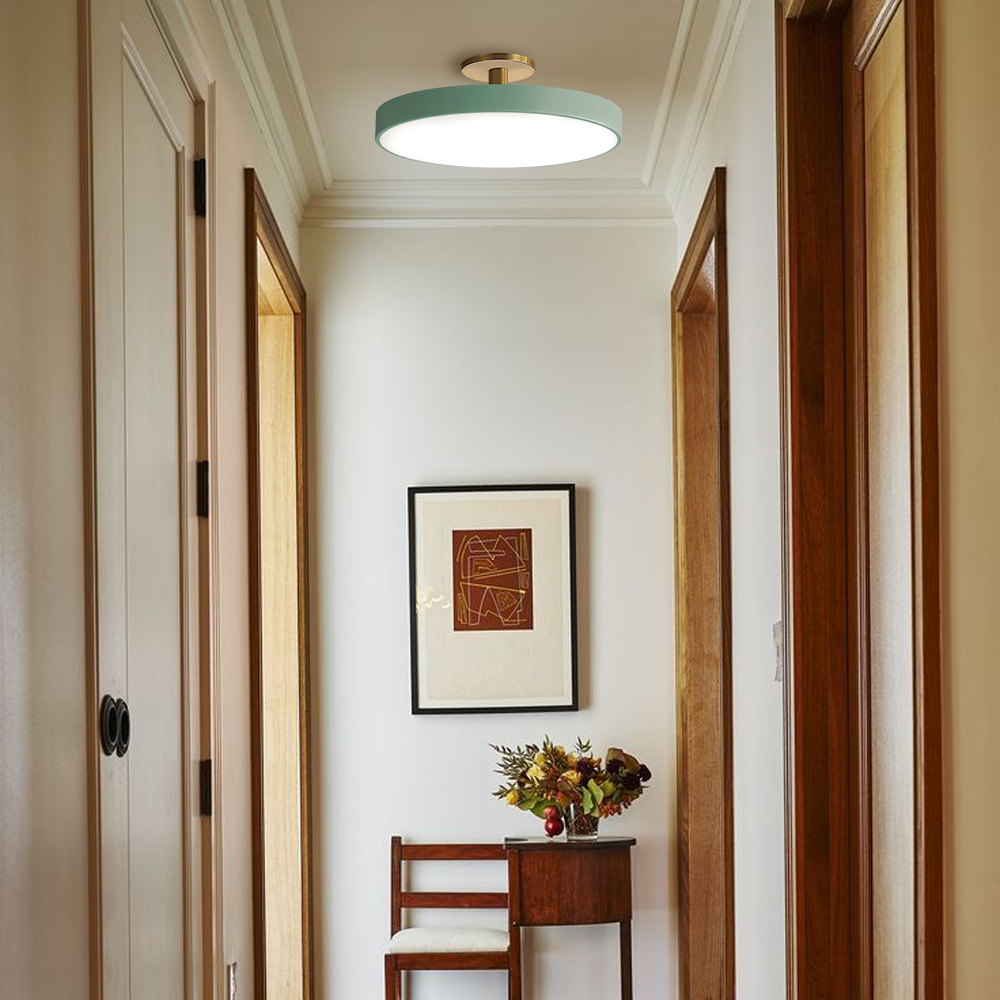 Modern Colored LED Round Ceiling Light