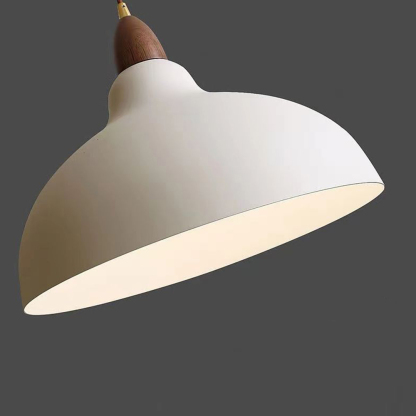 [Copy]Art Decor Creative Iron Living Room Pendant Lights