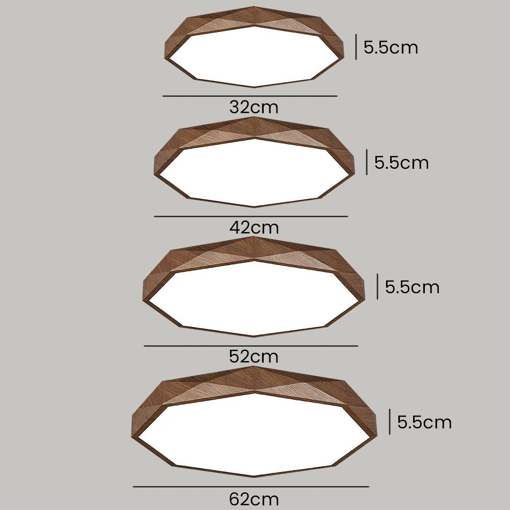 Modern Dimmable LED Ceiling Light