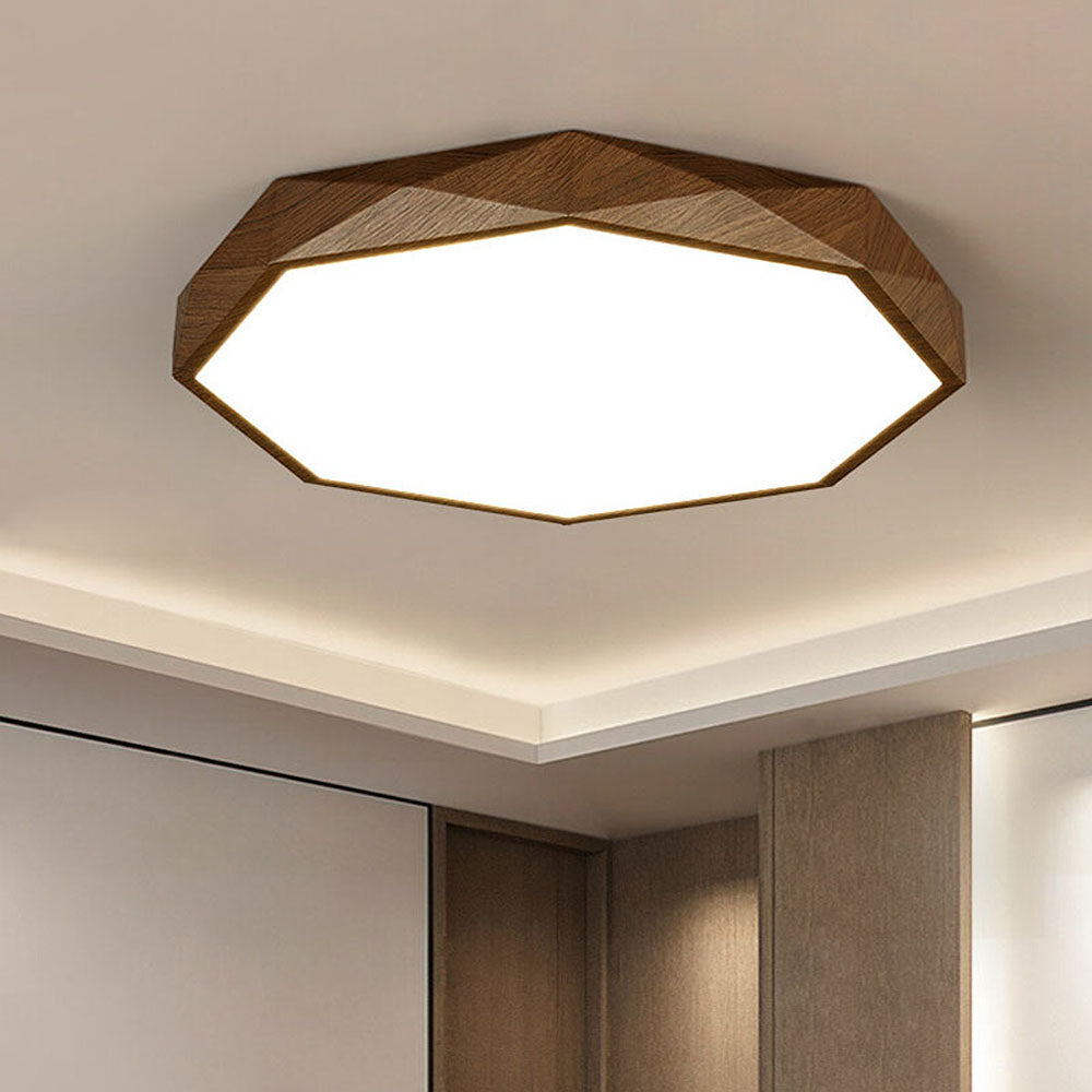 Modern Dimmable LED Ceiling Light