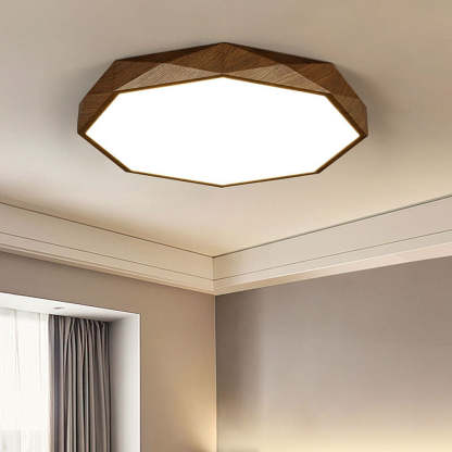 Modern Dimmable LED Ceiling Light